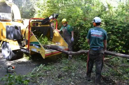 tree services Muscle Shoals